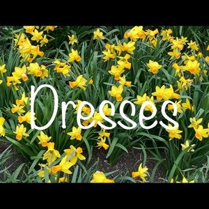 Casual, career, and evening